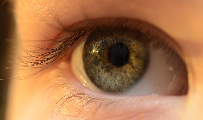 ET-white-eye.jpg